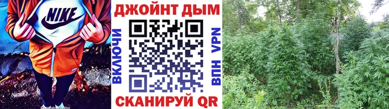 Каннабис семена  Купить закладки  Гвардейск 
